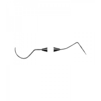 PROBES