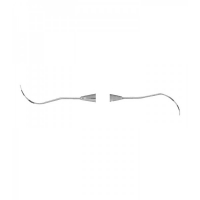 PROBES