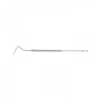 PROBES