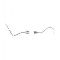 PROBES