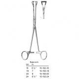 Babcock, (18 cm)